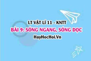 Lý thuyết Vật lí 11 Kết nối tri thức bài 9: Sóng ngang, sóng dọc và sự truyền năng lượng của sóng cơ
